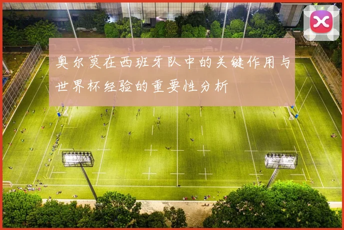 奥尔莫在西班牙队中的关键作用与世界杯经验的重要性分析