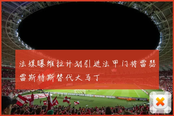 法媒曝维拉计划引进法甲门将雷瑟雷斯特斯替代大马丁