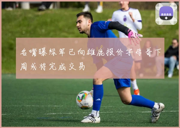 名嘴曝绿军已向雄鹿报价字母哥下周或将完成交易